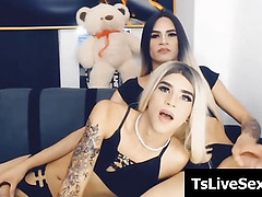 trannies fucked so stiff on webcam 082029 1605203