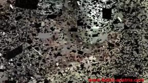 Ultimate Domination: Watch a Redhead Goddess Crush with Power and Grace