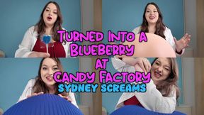 Turned into a Blueberry at Candy Factory - You Try a Special Full Course Dinner Lollipop from Sydney Screams and Expand into a Giant Blueberry Ready for Juicing - POV Blueberry Inflation, Blueberry Expansion, Wonka Parody - HD 1080 MP4