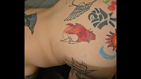 Mariposa monarca - update #19 - 1000006603 - Nov 09, 2025