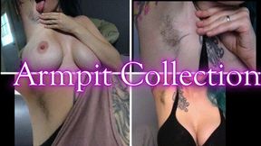 Armpit Collection *480