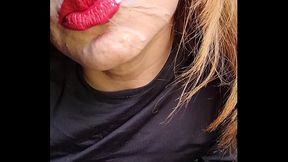 Evehampy - update #10 - ORIGINAL - Aug 07, 2025