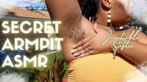 Secret Hairy Armpit ASMR by Ebony BBW Stretching Outside SD