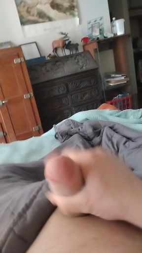 3-30-2026 random compilation video