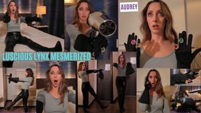 Audrey: Luscious Lynx Mezmerized