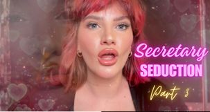 Secretary Seduction [Part 3]