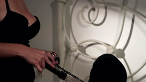 Zero Tolerance: Home Wrecking with Daisy Haze
