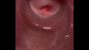 Deep inside my pussy