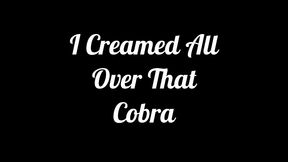 i creamed all over that cobra: lilly lonestar get s king cobra d