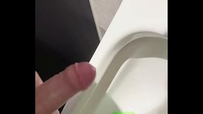 Shopping Mall Public Toilet Jizz