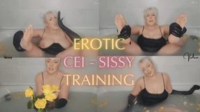 EROTIC CEI SISSY TRAINING