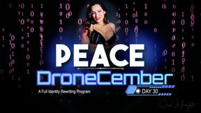 Day 30: Integration Sealed