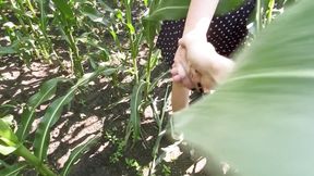 Fucks a Girl in a Field of Corn - Outdoor Sex 1