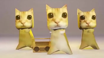 Gato