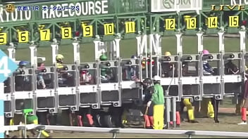 みんなのKEIBA-2025年11月30日-ジャパンカップ-GI-世界最強馬vs豪華日本勢-村竹ラシッド