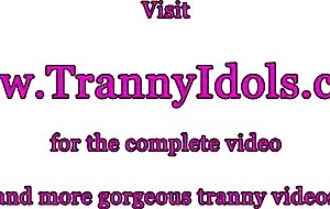 Flaming trannies love sucking intense cock