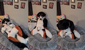 Milked by the Vet's Puppy Boy How to Milk Your Furry Boyfriend