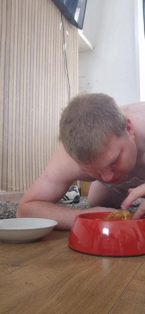 Dog food