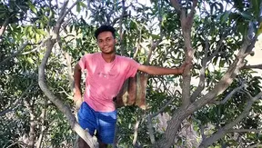 Under the Mango Groves: Steamy Gay Passion Ignites on a Rural Indian Farm – 18+