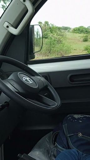 Forest outdoor took the car to the woods and treated me with a toy with great pleasure.   Clip 1