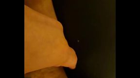 Mariposa monarca - update #41 - 1000008911 - Dec 17, 2025