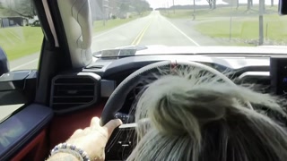 Road Head Swallow