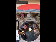2026/08/04 - Zen Practice – Altar Offering