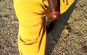 Big Black Cocks Outdoors