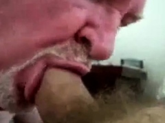 Daddy bear sucking cock