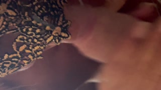 La mia lesbicotta Ciuccia il cazzo e beve piscia