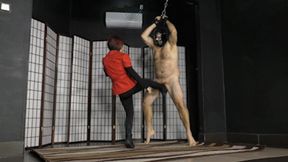 (FULL HD) Pained balls