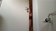Hiding Behind Door