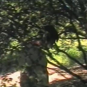 Brazil Nuts, Part 1