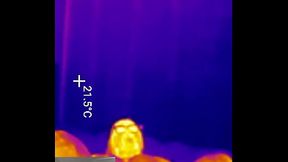 First Time LOCKED in Chastity Belt! COMPLETE COLLECTION Plus Ass Fingered Deep Then Stuffed with 2 HUGE Butt Plugs (4K Portrait)