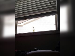 Ebony babysitter Swallws the Whole Cock