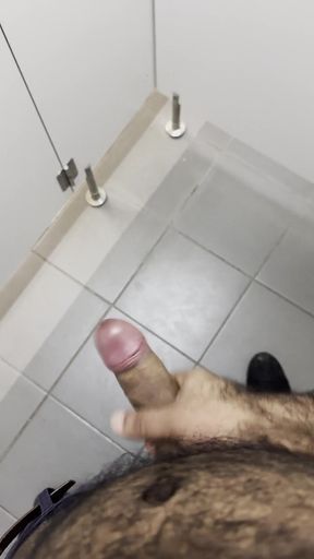 Jerking off in a Public Restroom
