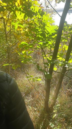 Adventures of Milfycalla Ep 19 Fishing Spot
