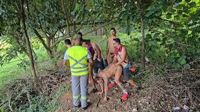 se aventurando na floresta!