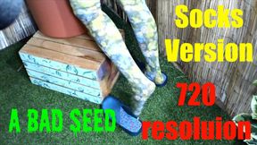 A Bad Seed - socks 720res HD