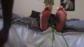 Ticklish Tales
