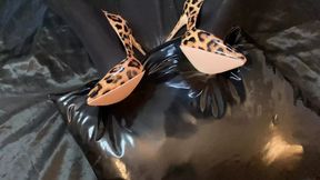 Patterned Leggings, Animal Print Heels Masturbation