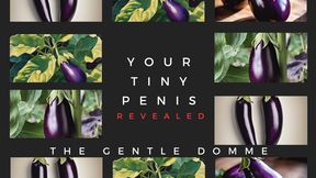 The Gentle Domme-Your Tiny Penis is Revealed-SPH-Humiliation-Girlfriend-Cuckolding