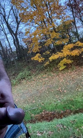 Long roadside piss and jerk