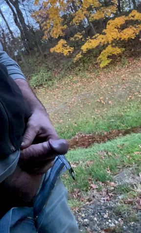 Long roadside piss and jerk