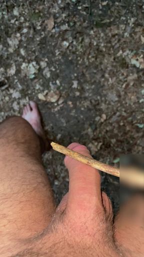 Forest Spanking With Stick