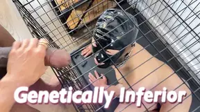 Genetically Inferior: Lord Maria and MontrealBBC tease caged beta male slave in ultimate BBC worship scene