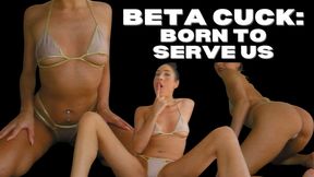 BETA CUCK: BORN TO SERVE US