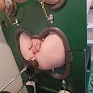 Teagan T in her bondage wall getting plowed by BBC and Dog Dildos