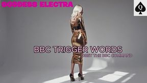 Trigger Loop: Obey the BBC Command (AUDIO ONLY)