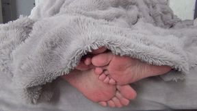 Male and female legs flirt under the blanket bb